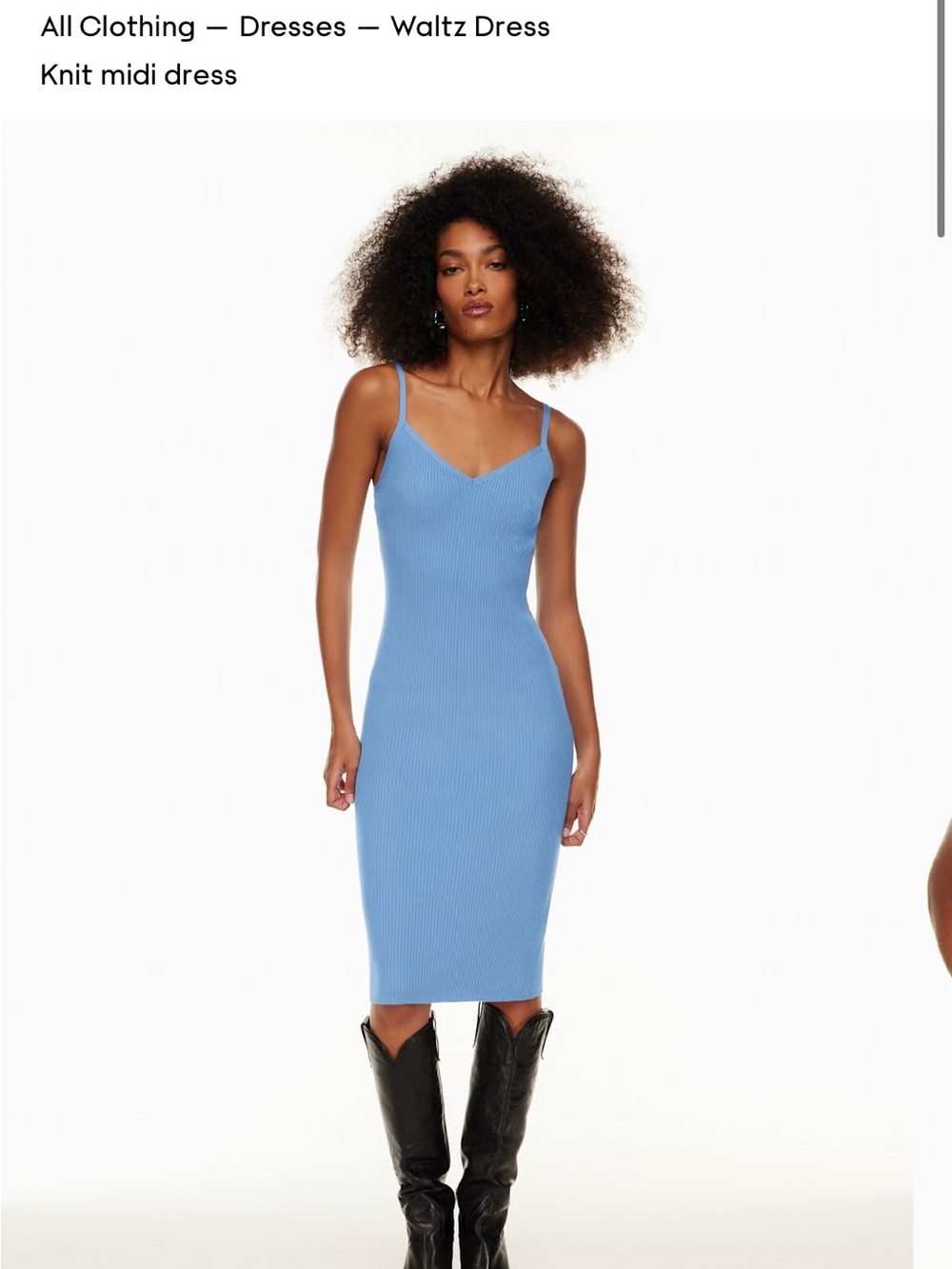 Waltz Dress Size XS by Wilfred
